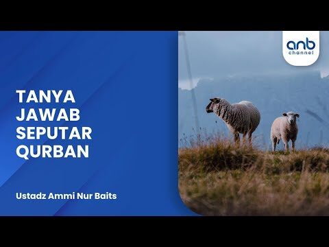 tanya jawab seputar qurban | ustadz ammi nur baits