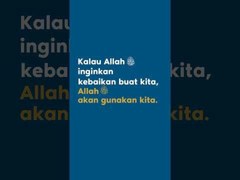 18 may 2025