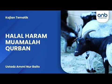 halal haram muamalah qurban | ustadz ammi nur baits