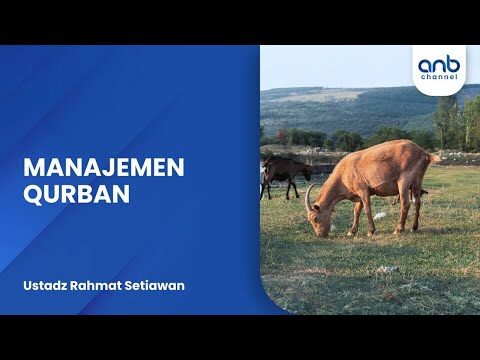 workshop manajemen qurban #1 | ustadz rahmat setiawan