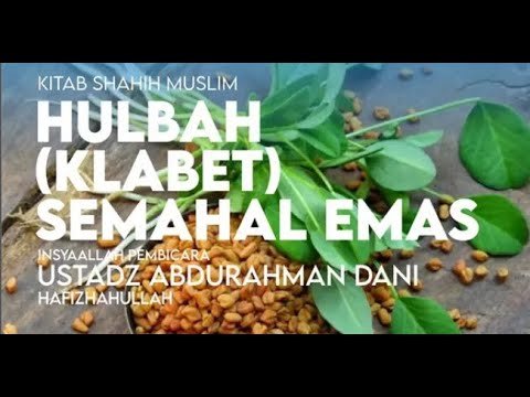 hulbah (klabet) semahal emas